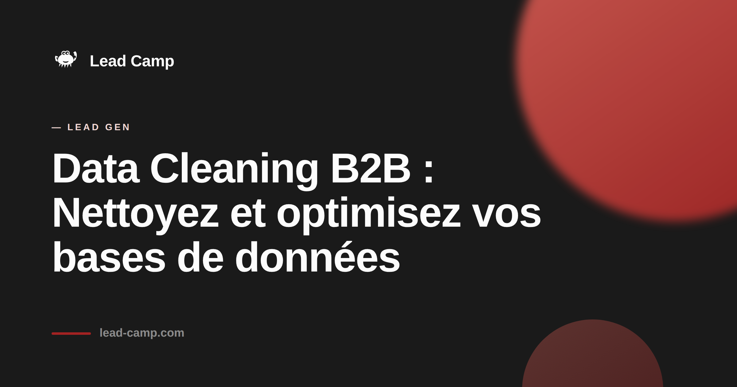 Data Cleaning B2B : Nettoyez et optimisez vos bases de données